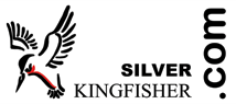Silver Kingfisher