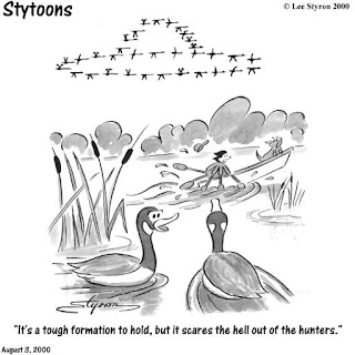 funny car: funny cartoon animation pictures