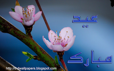 Eid Ul Zuha Adha Mubarak 2012 Card Flower Wallpapers Urdu Text 017