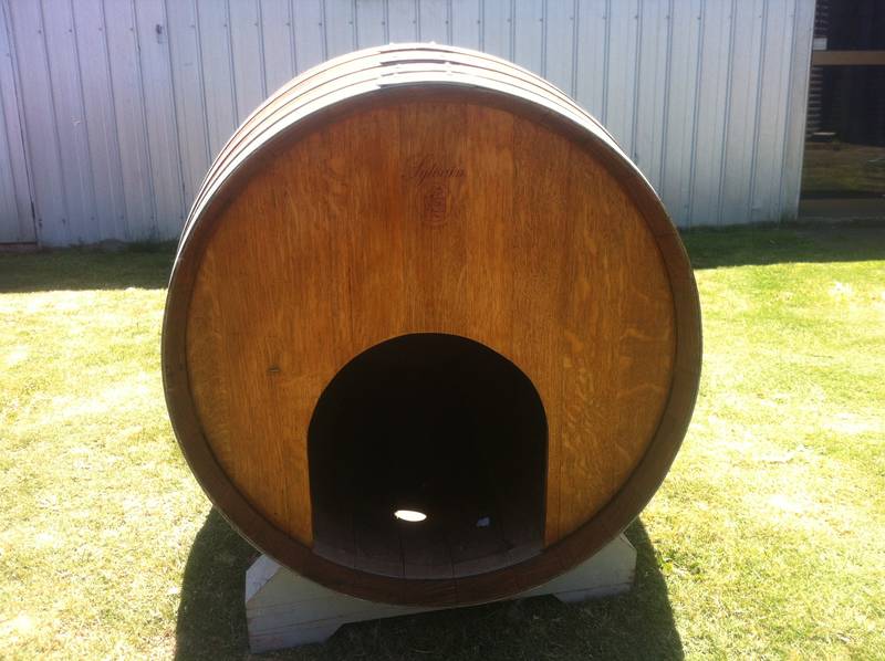 Raising Toot and Roxy: Dog House Idea for Cheap