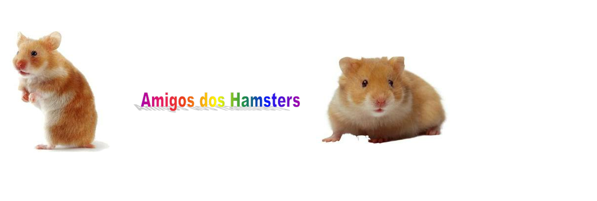 Amigo dos hamster