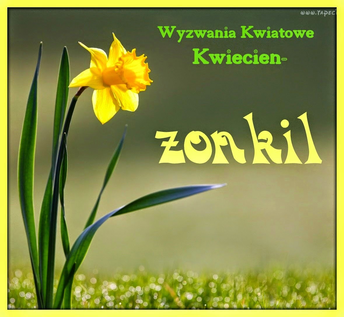 Wyzwania kwiatowe