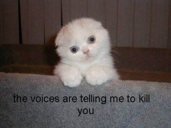Funny Pet Names For Guys Funny Pet Names For Guys