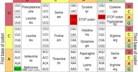 Mike's Online Biology: MOB University: BIO 105/106 Lesson 2 RNA To