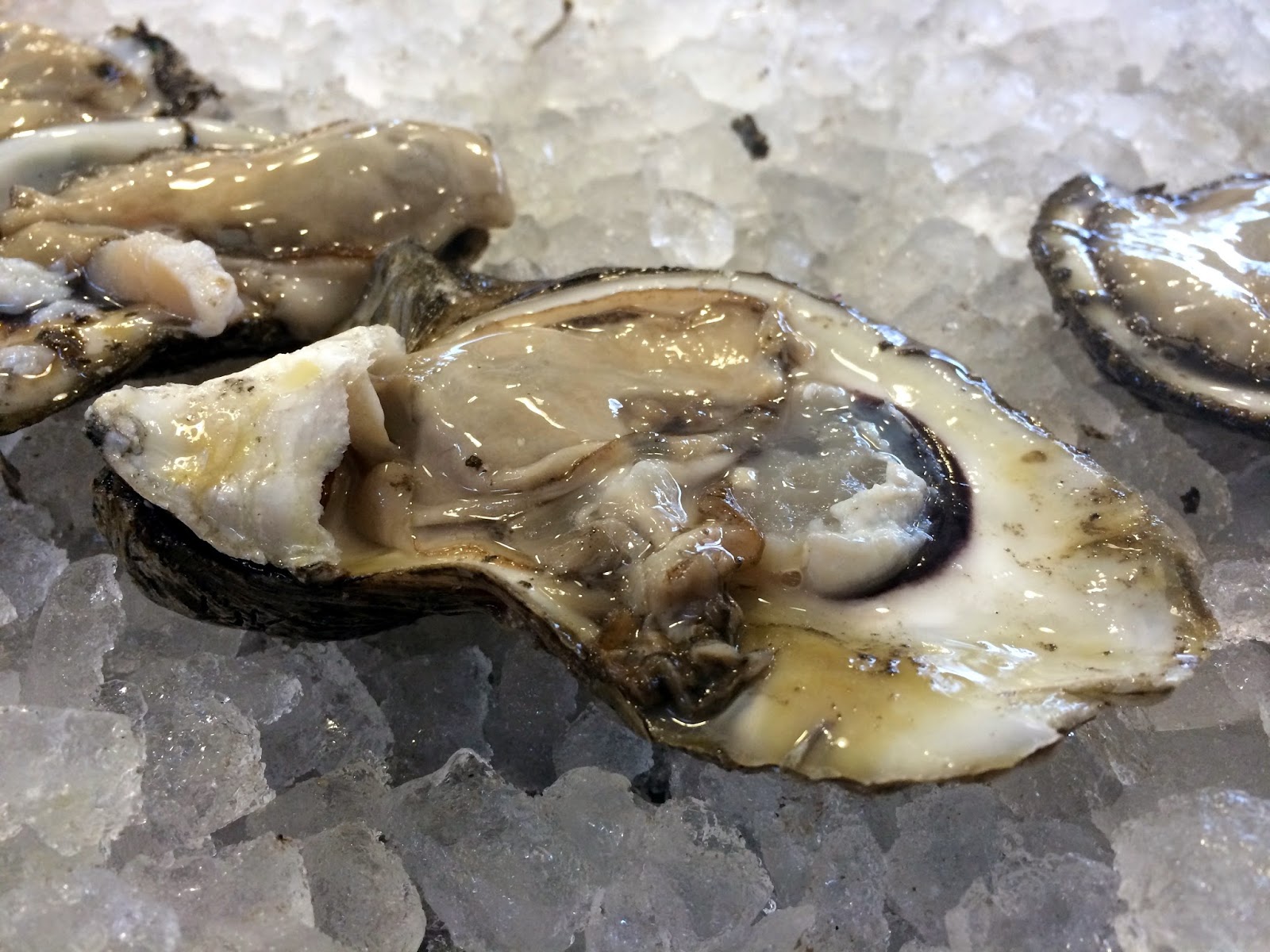 A Couple in the Kitchen Wordless Weekender Oysters in New Orleans