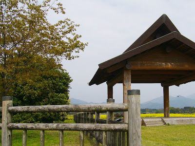 宮崎県・西都原古墳群　天皇皇后両陛下・お手植えの木