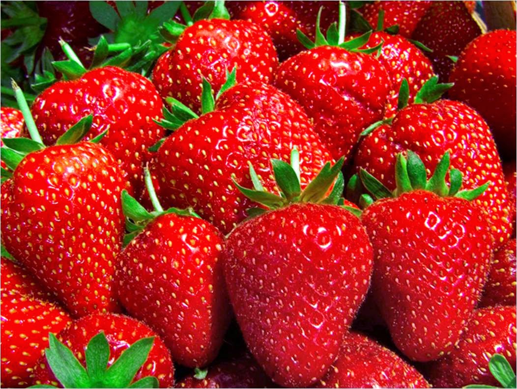 Recetas para vivir mejor: Batido de papaya y fresas para rejuvenecer la