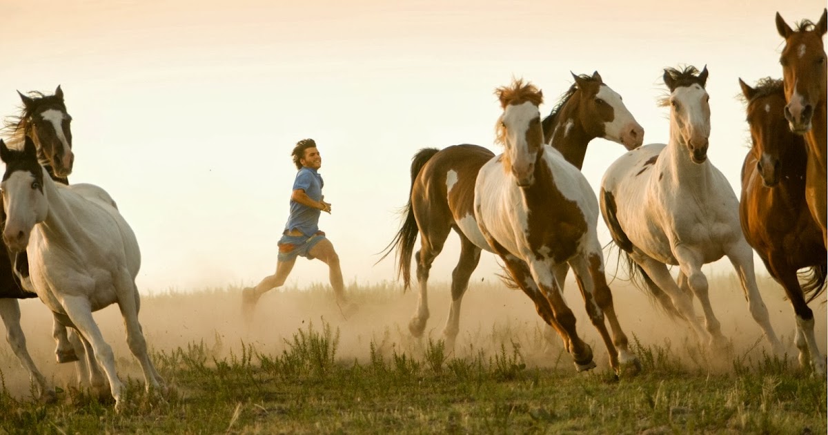 Thumbnail of Letter From Chris McCandless to Ron Franz