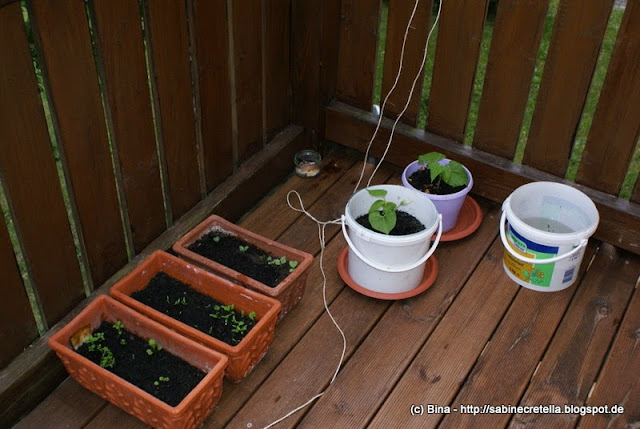 Stereotypically Me May 2015