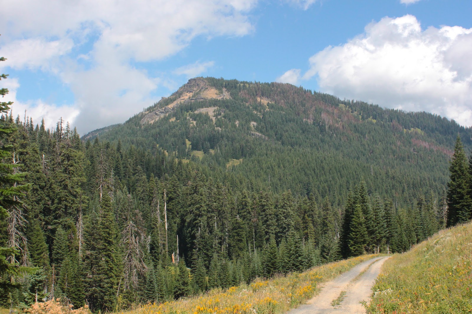 Richard Hikes Rattlesnake Mountain