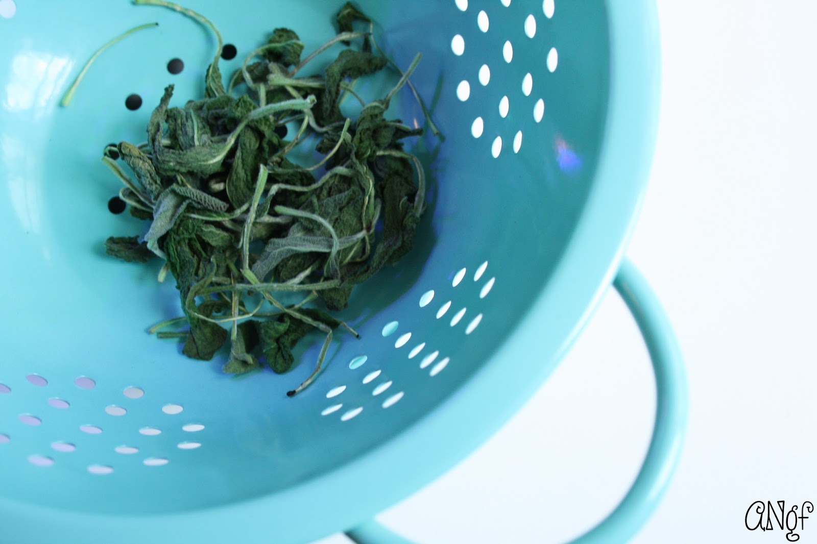 Anyonita Nibbles GlutenFree Recipes How to Make Rubbed Sage with a