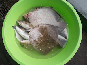 Istanbul fresh fish straight to the "Galata Bridge Restaurants".