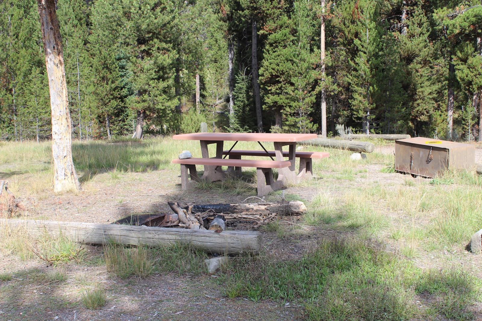 The Massey Family On the road again Camping along Grassy Lake Road in the John D. Rockefeller
