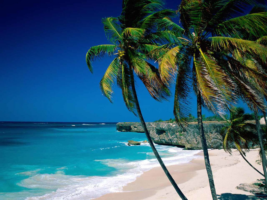 Port Charlotte Florida:The best collection of articles