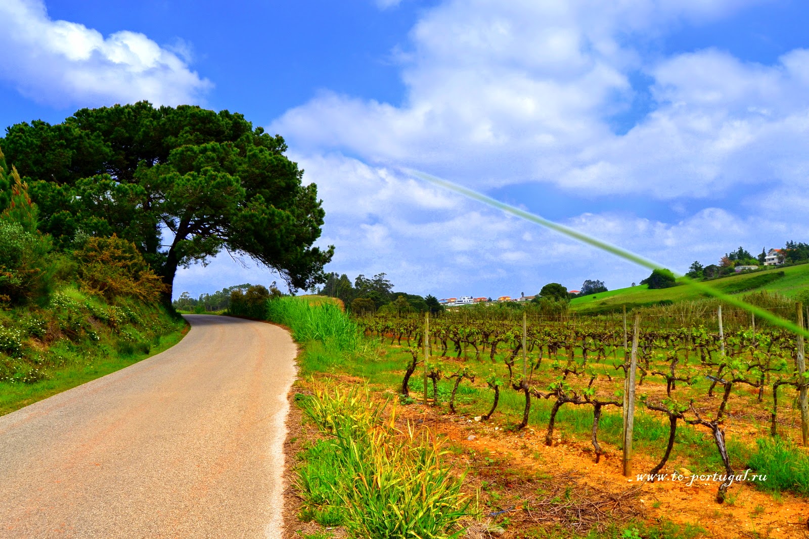 весна в Португалии