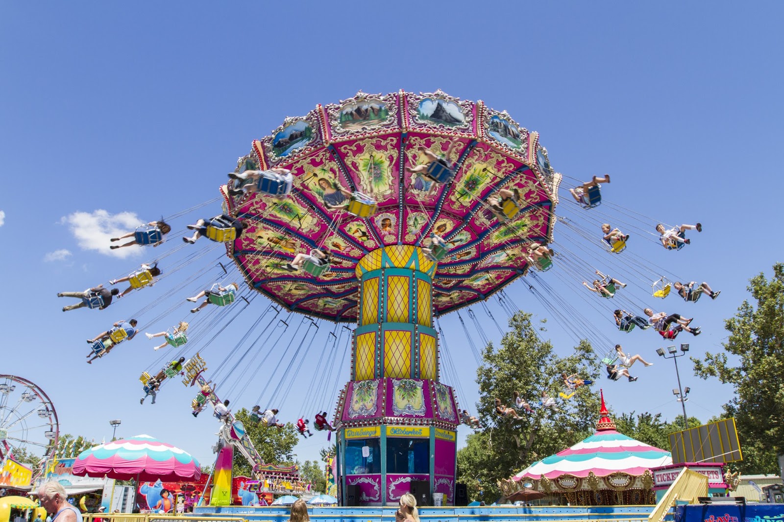 Naturetastic Blog Alameda County Fair 2013 (Part 2)