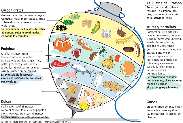 Dibujo Del Trompo Alimentisio Imagui