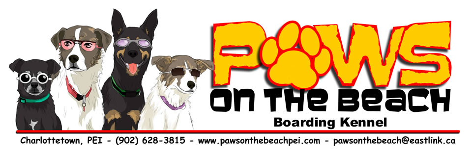 Paws On The Beach / Surf & Turf Dogsports Blog