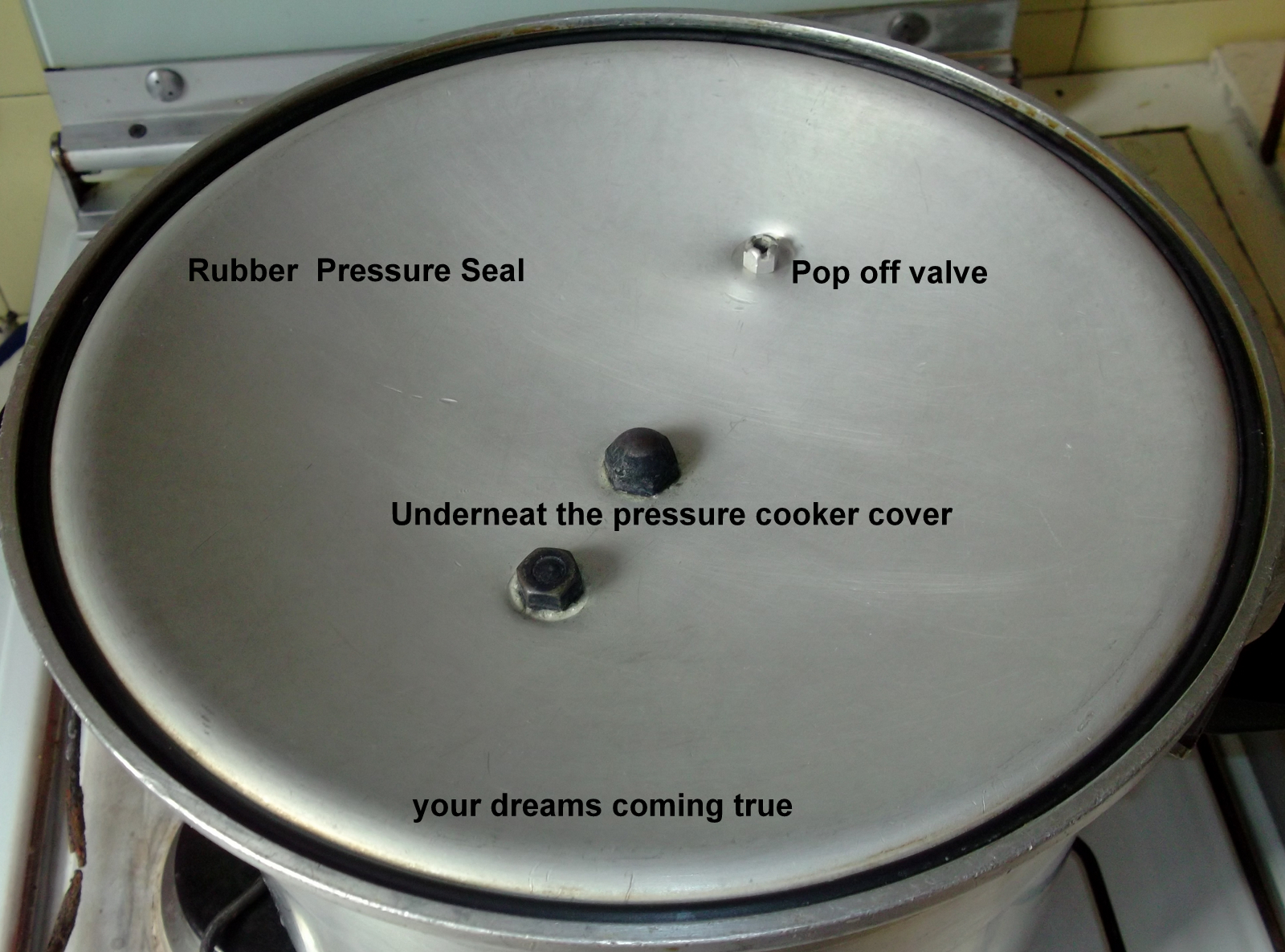 Your Dreams Coming True In The Kitchen The Pressure Cooker...Based On