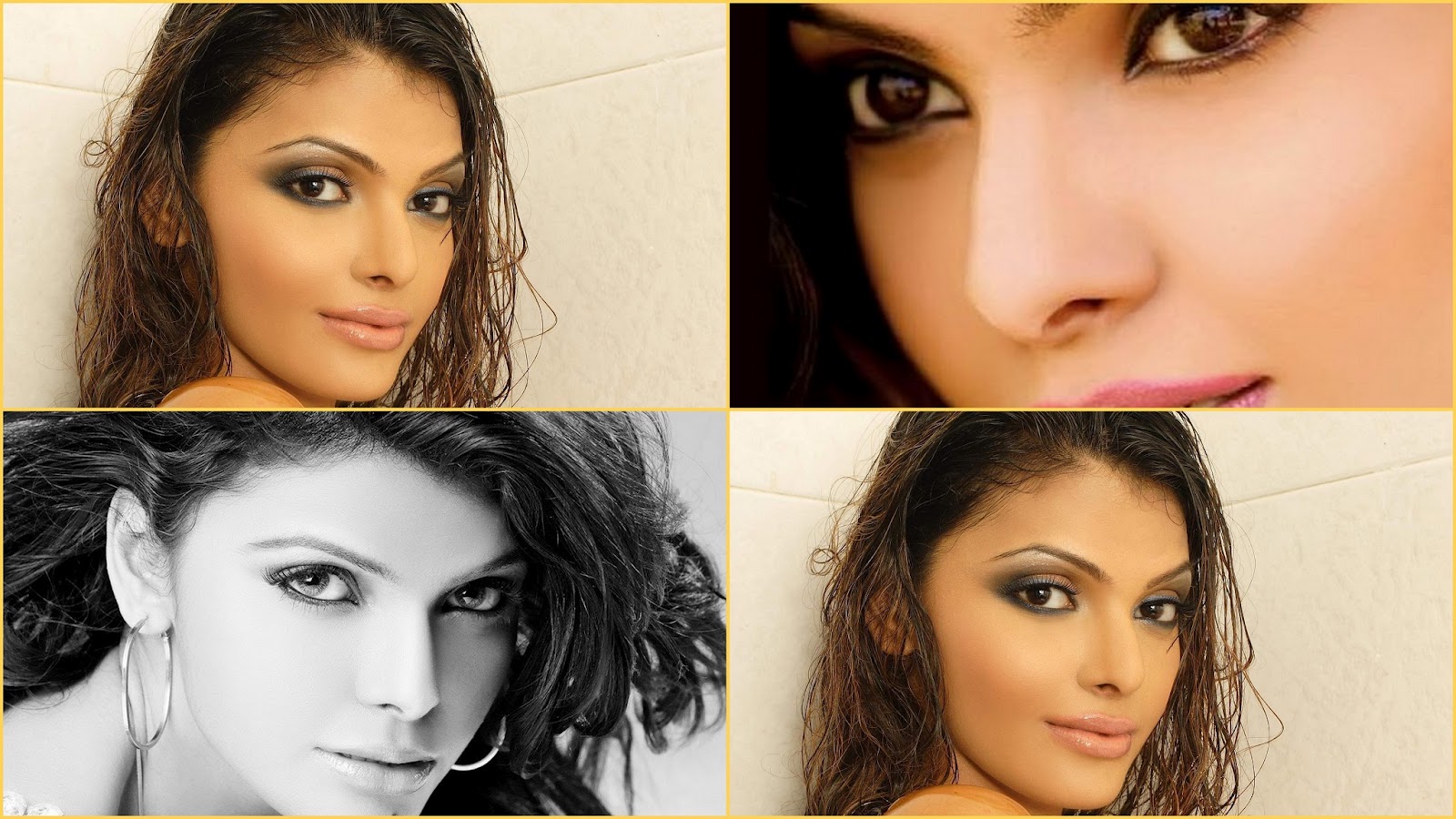 sherlyn chopra hot playboy pictures/pics/photos video twitter gallery