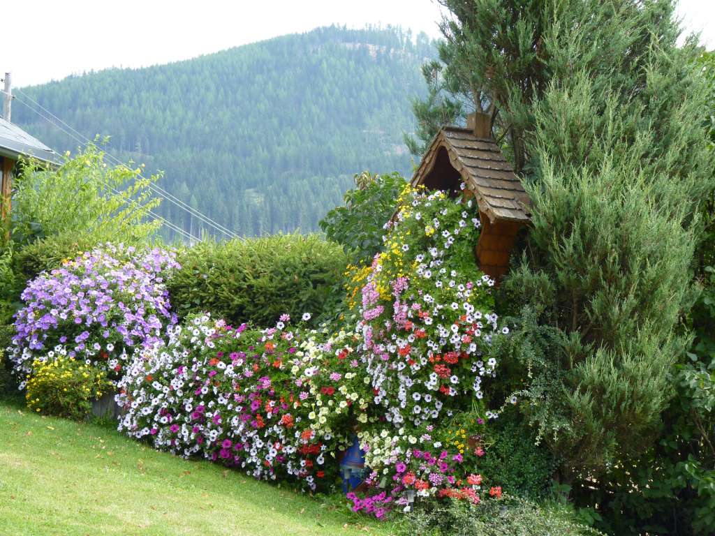 Bad St Leonhard News Vom Raunzer August 2011