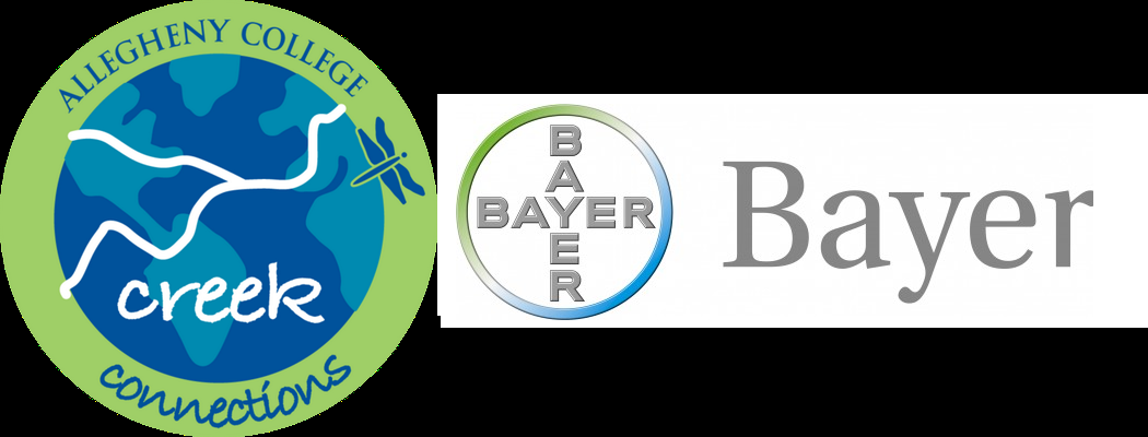 Creek Connections & The Bayer Foundation