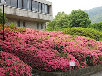 大学転出後の洛西地区の活性化への取り組みを望みたい! 大学転出後の洛西地区の活性化への取り組みを望みたい!