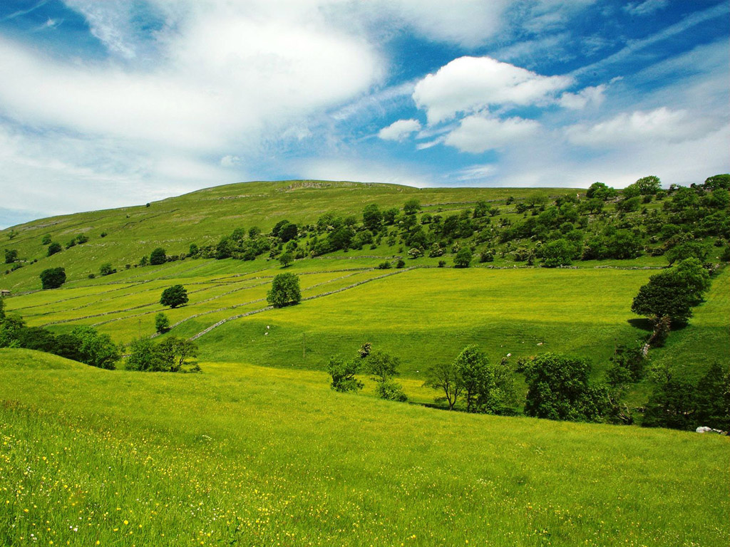 1024 x 768 Best Nature wallpaper - Full HD | Desktop Wallpaper Collection