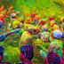 5 Festivals You Don’t Want to Miss In Your Lifetime