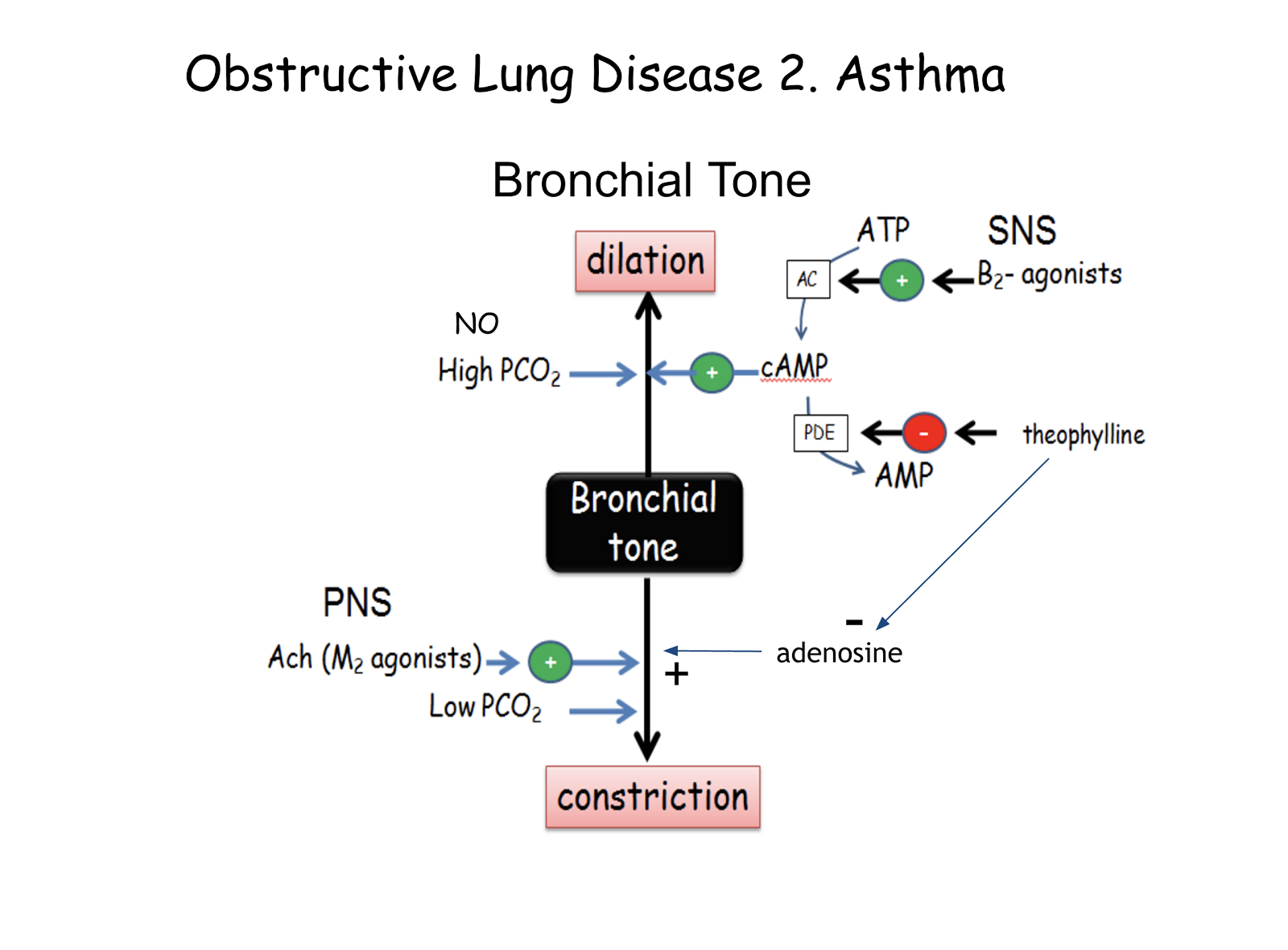Tutor's Notes general, cardiovascular, respiratory and renal
