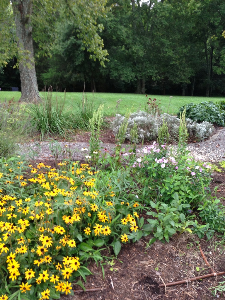 Rattlebridge Farm She�s Gone to Pot