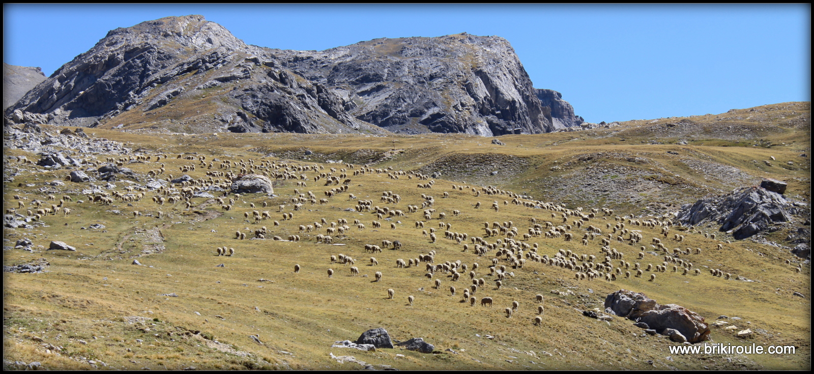 rencontres franco italiennes