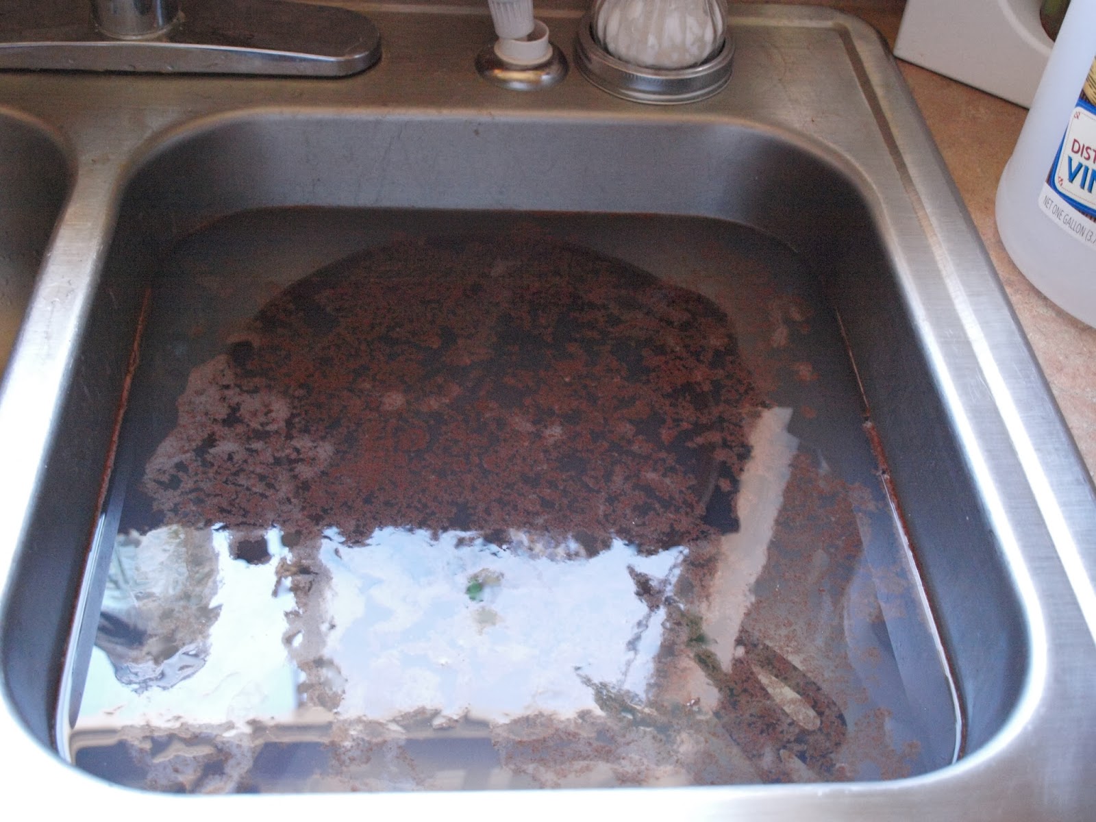 Tiny House Homestead Season Your Cast Iron in 5 Easy Steps