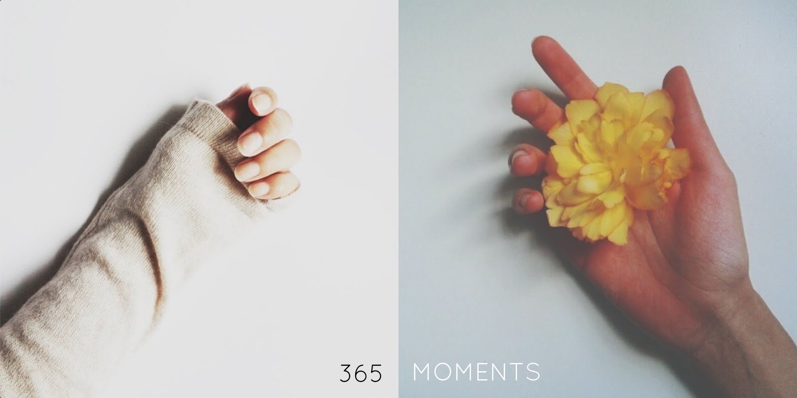 365 Moments