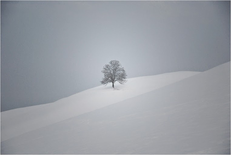emerging photographers, Best Photo of the Day in Emphoka by Saxuisse, https://flic.kr/p/8DKFmd emerging photographers, Best Photo of the Day in Emphoka by Saxuisse, https://flic.kr/p/8DKFmd