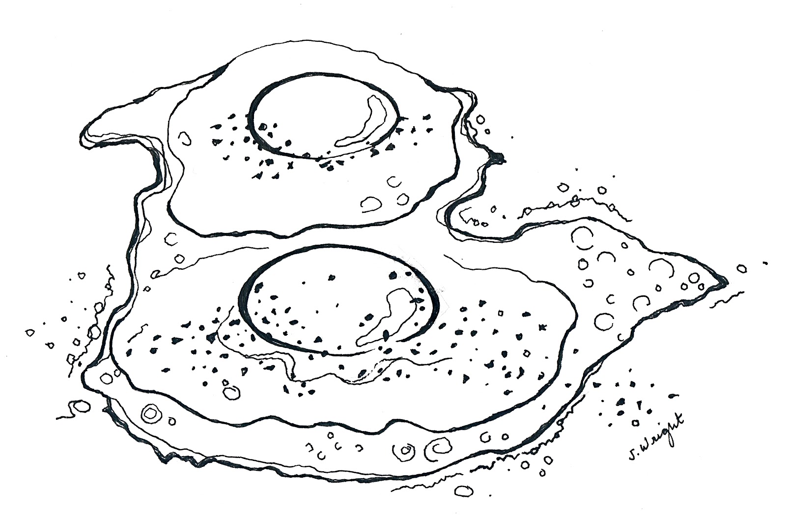 Line Drawing Egg : The heart is a lonely hunger egg will always come first