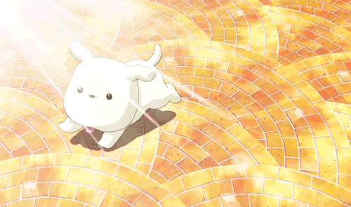 Pictures Of Kawaii Dogs Pictures Of Kawaii Dogs