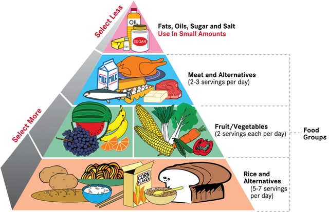 Australian+healthy+eating+pyramid