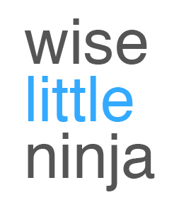 wise little ninja