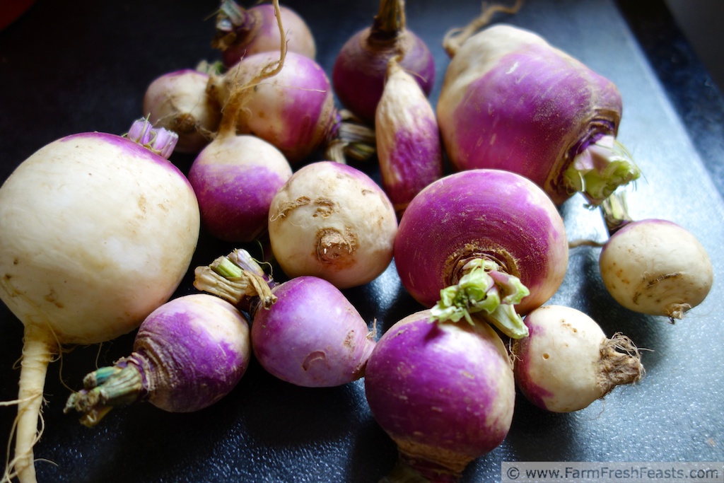 Farm Fresh Feasts Silken Turnip and Potato Soup (and How To Make Chicken Stock)