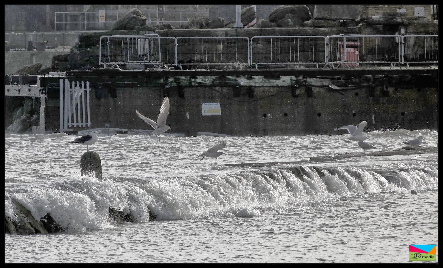 tidal surge remix tidal surge remix