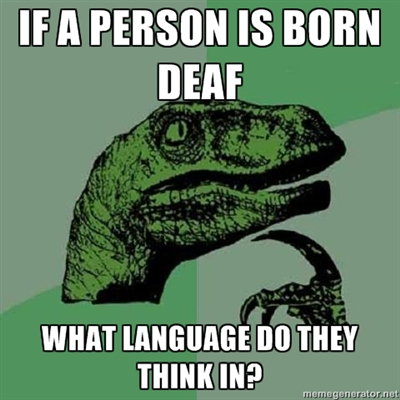 internet meme definition steven bannister a2 examination stuff blog meme1 internet meme definition steven bannister a2 examination stuff blog
