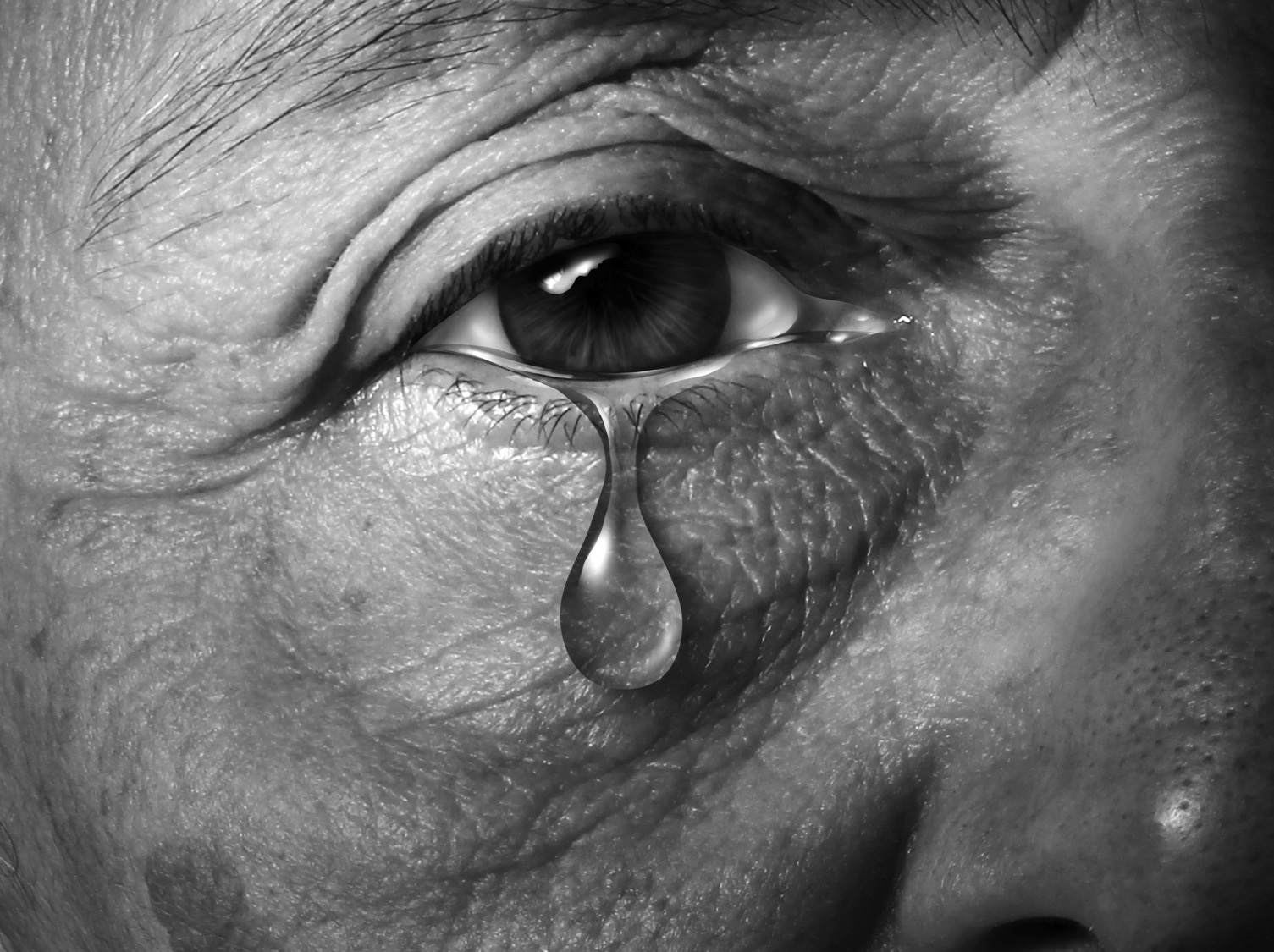 5589673 - Un Ser Gris : El equilibrio como forma de vida. 5589673 - Un Ser Gris : El equilibrio como forma de vida.