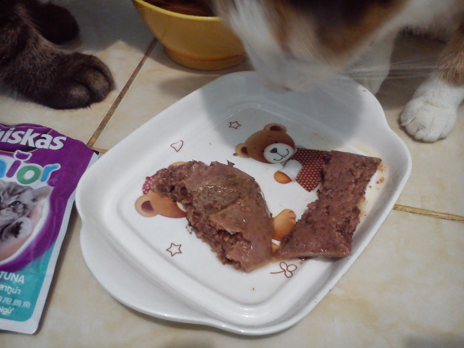 wet food kucing whiskas