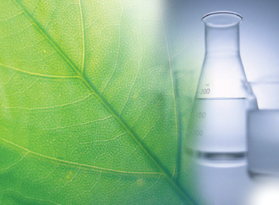 natura e scienza natura e scienza