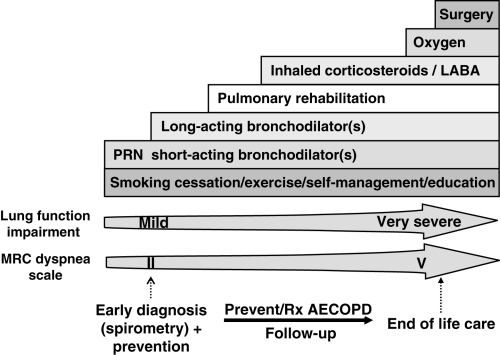 Copd Exacerbation Natural Treatment Copd Exacerbation Natural Treatment