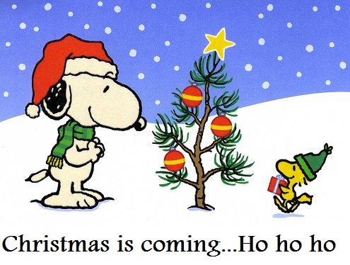 http://1.bp.blogspot.com/-cgslivCqXBc/Tzh_k9Phb1I/AAAAAAAAATs/eLNxnHNGyrY/s1600/Snoopy+christmas+cartoons+snoopy-xmas-pictures.jpg