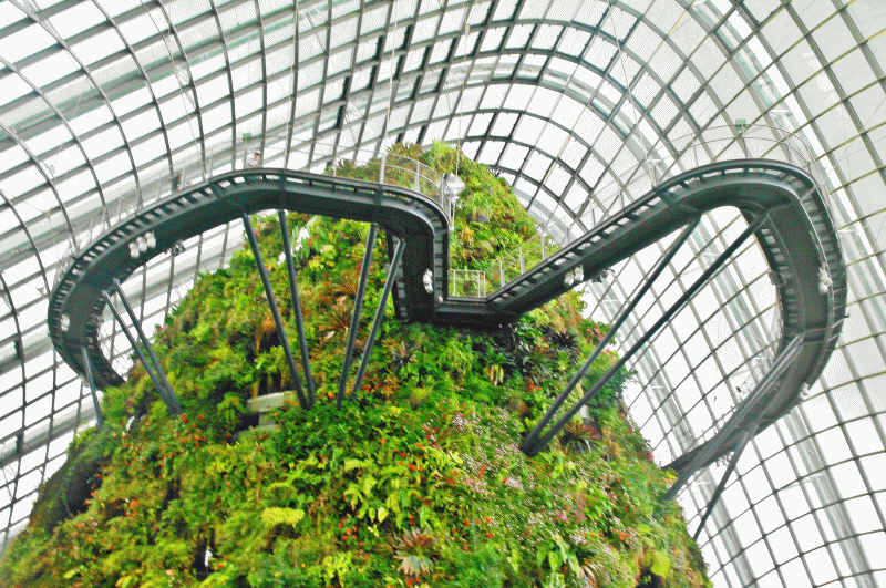 Cloud Bridge at Cloud Forest meheartseoul.blogspot.sg (Vera Lee)