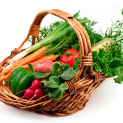 Get vegetable garden protection