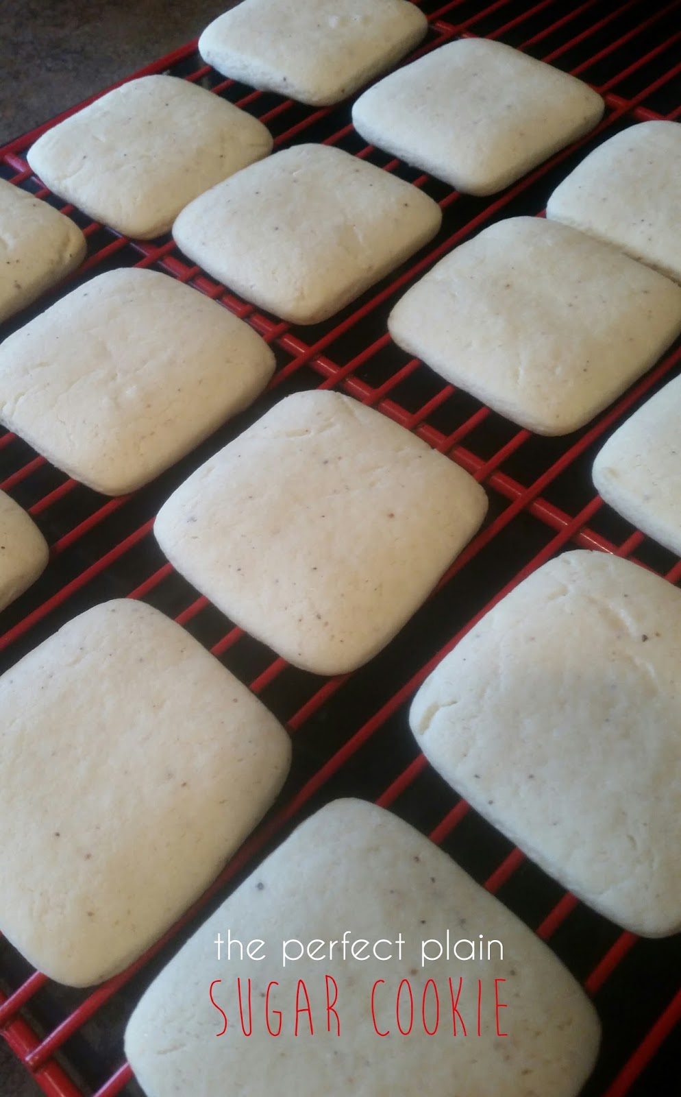 Life Fling The Perfect Plain Sugar Cookies